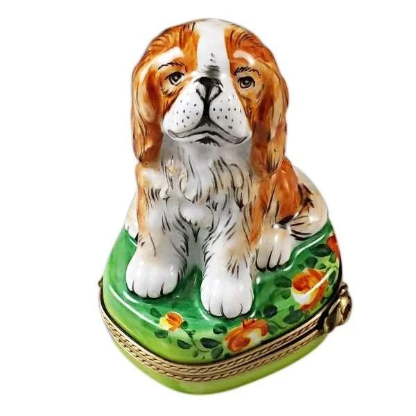 King Charles Spaniel