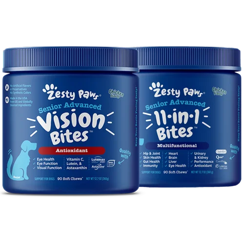 Everyday Health Bundle 11-in-1 Bites + Vision Bites™  for Senior Dogs