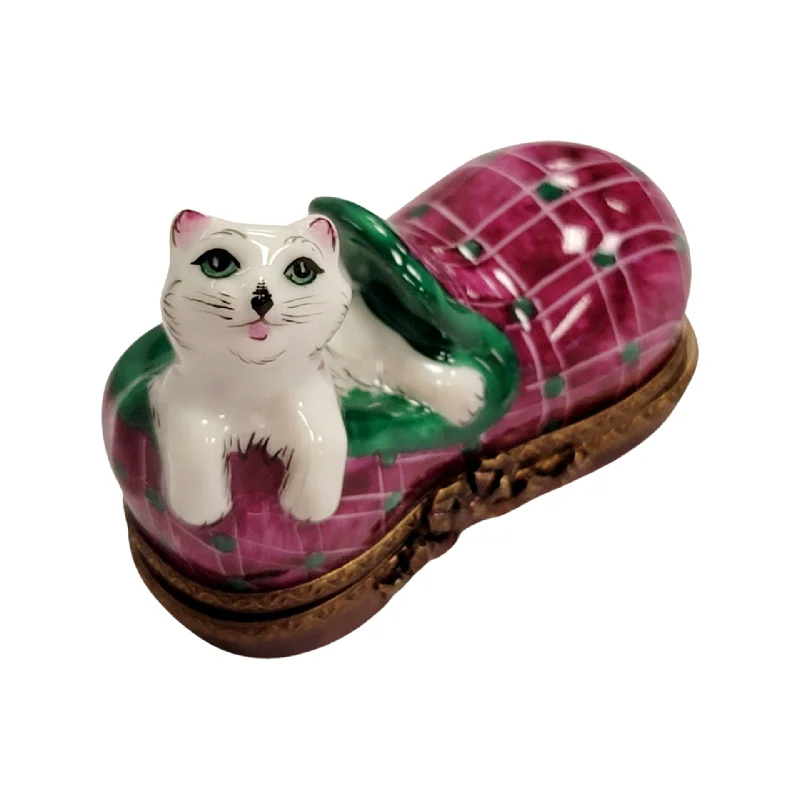 Cat in Slipper