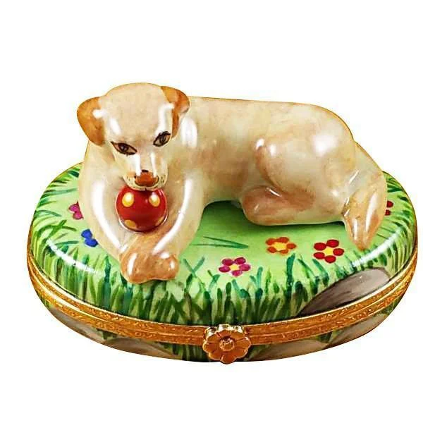 Beige Labrador Dog w Ball