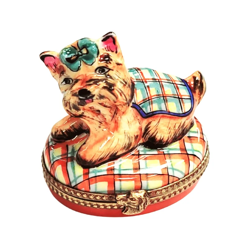 Terrier or Yorkshire Dog on Plaid