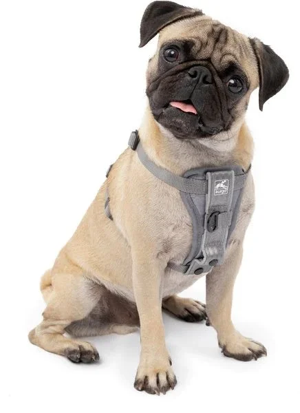 Kurgo Tru-Fit Smart Harness