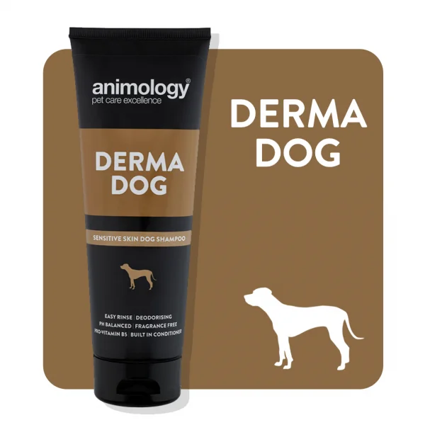 ANIMOLOGY DERMA DOG