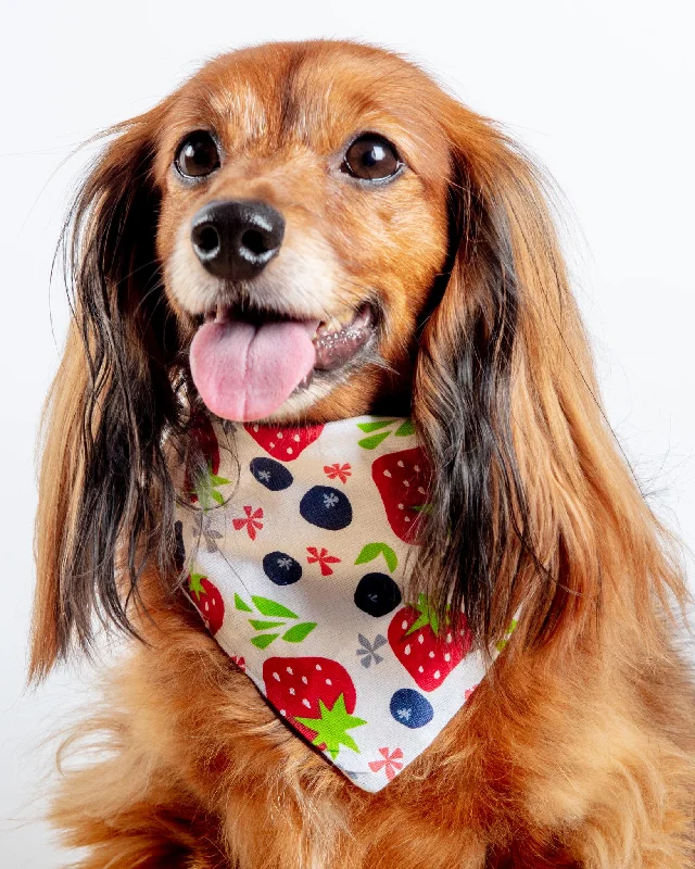 Berries & Cream Bandana<br>(Made in the USA) (FINAL SALE)