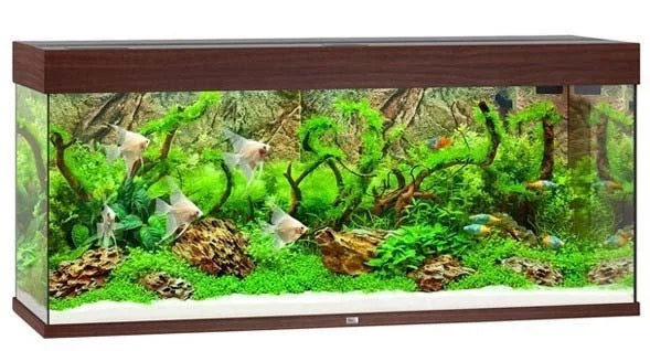 JUWEL Akvarij Rio 240 LED, 121x41x55cm, 240 L