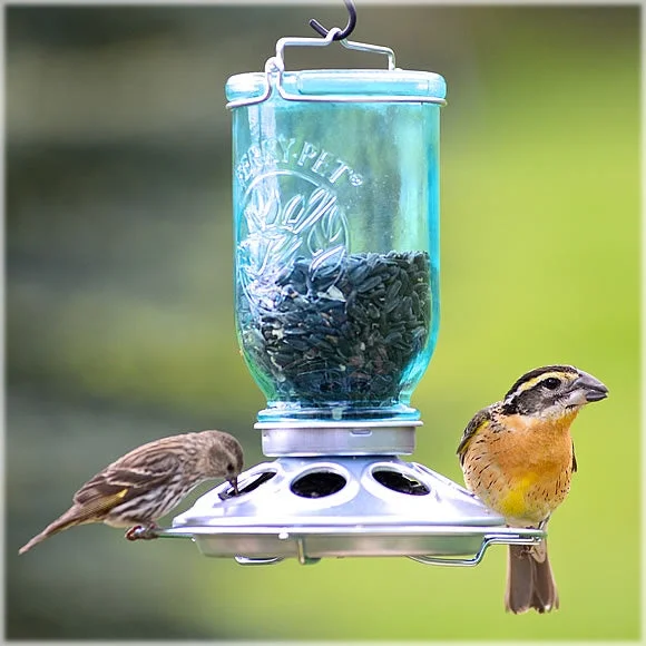 MASON JAR FEEDER