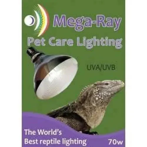 Mega-Ray Mercury Vapor Bulb Self-Ballasted Flood UVB Lamp