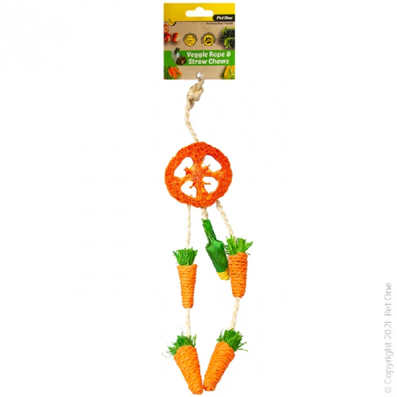 PET ONE CARROT DREAM CATCHER