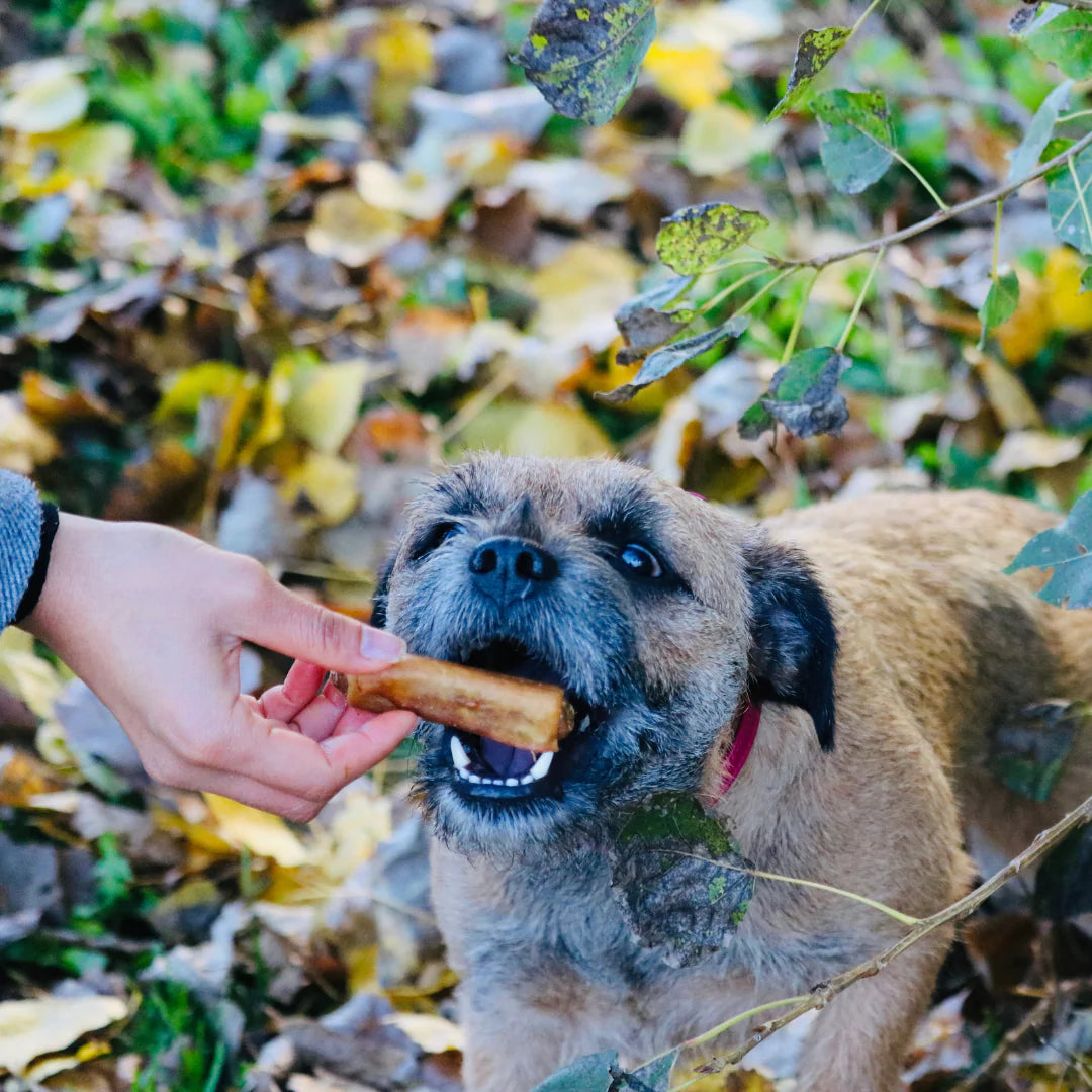 Pigs In Blankets - Dog Treat - Per treat