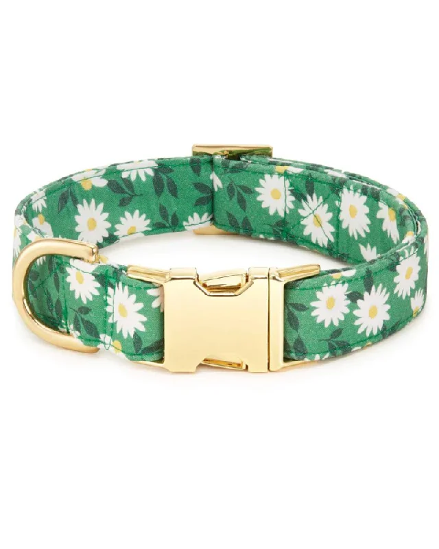 Coming Up Daisies Dog Collar<br>(Made in the USA)