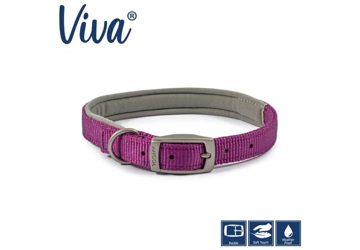 Ancol - Viva Nylon Padded Buckle Collar - Purple - Size 4 (35-43cm)