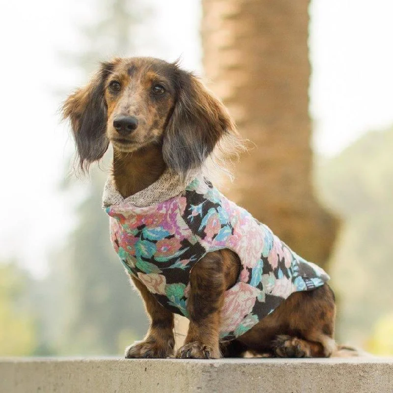 LONG DOG CLOTHING | The Savannah Hoodie