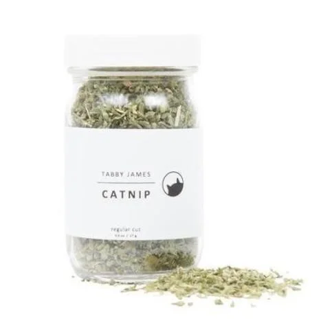 TABBY JAMES | Catnip Regular Cut